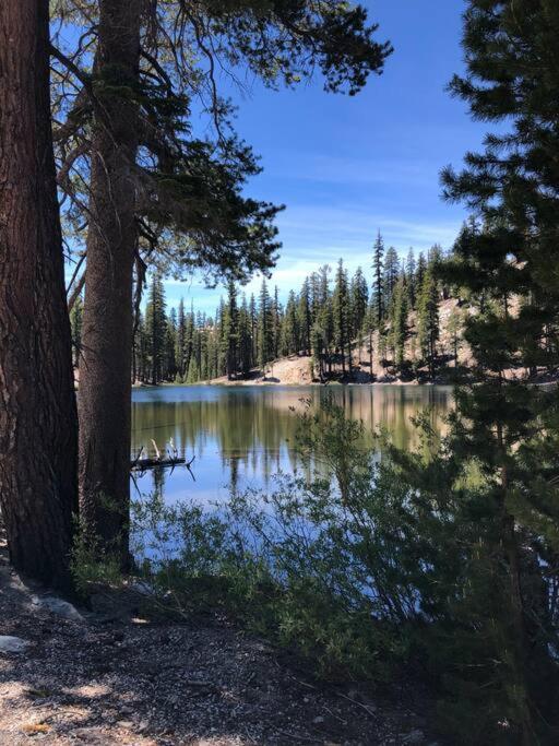 Appartement Mammoth Awesome Location-1 Min To Shuttles & Food! Toml-Cpan-11402 à Mammoth Lakes Extérieur photo